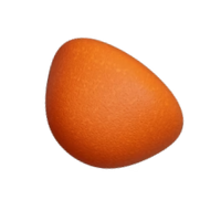 Faites la rencontre de notre fondatrice